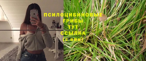 MESCALINE Майский