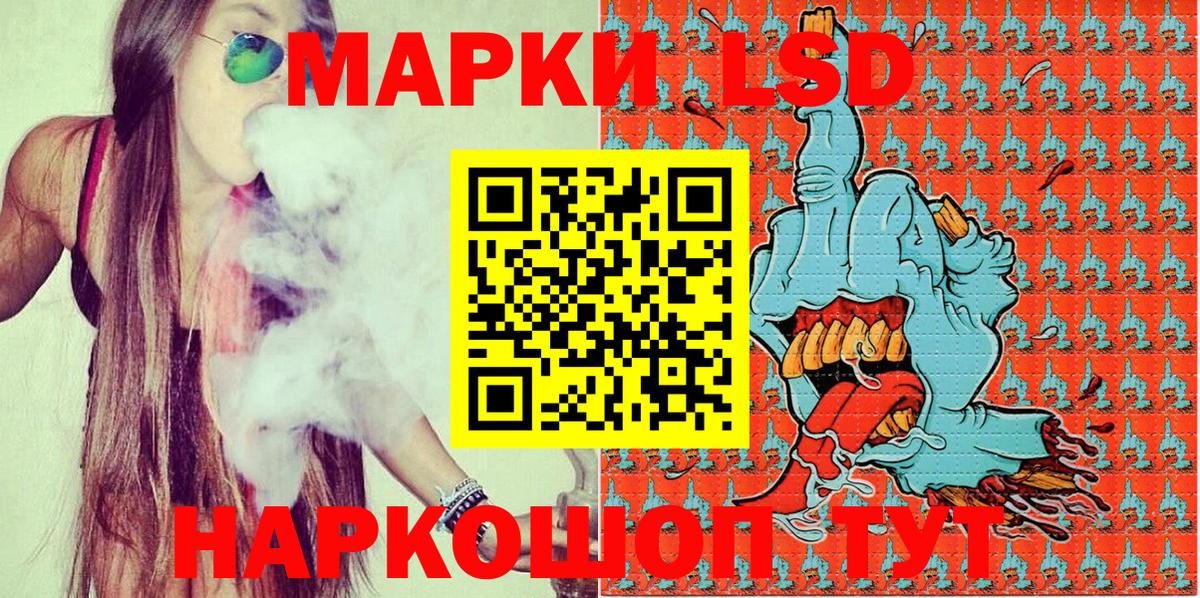 A-PVP Реутов